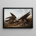Falchi pellegrini - John James Audubon — quadro incorniciato alla parete