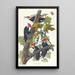Pic à tête rouge - John James Audubon — quadro incorniciato alla parete