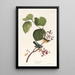 Paruline des marais - John James Audubon — quadro incorniciato alla parete