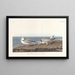 Pluvier siffleur - John James Audubon — quadro incorniciato alla parete