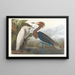 Airone rosso - John James Audubon — quadro incorniciato alla parete