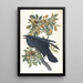 Corbeau - John James Audubon — quadro incorniciato alla parete