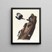 Pic a testa rossa - John James Audubon — quadro incorniciato alla parete
