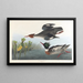 Harle huppé - John James Audubon — quadro incorniciato alla parete