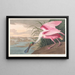 Spatule rosée - John James Audubon — quadro incorniciato alla parete