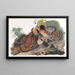 Gélinotte huppée - John James Audubon — quadro incorniciato alla parete