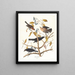 Grakle rouillé - John James Audubon — quadro incorniciato alla parete