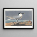 Sterne caugek - John James Audubon — quadro incorniciato alla parete