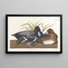 Fuligule milouinan - John James Audubon — quadro incorniciato alla parete