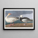Oche delle nevi - John James Audubon — quadro incorniciato alla parete