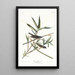 Moucherolle solitaire ou viréo - John James Audubon — quadro incorniciato alla parete