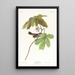 Bruant des marais - John James Audubon — quadro incorniciato alla parete
