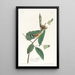 Paruline di Swainson - John James Audubon — quadro incorniciato alla parete
