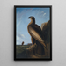 Aigle de mer de Washington - John James Audubon — quadro incorniciato alla parete
