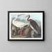 Ibis bianco - John James Audubon — quadro incorniciato alla parete