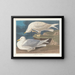 Gabbiano reale con ali bianche - John James Audubon — quadro incorniciato alla parete