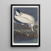 Ibis des bois - John James Audubon — quadro incorniciato alla parete