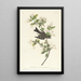 Pioui des bois - John James Audubon — quadro incorniciato alla parete