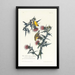Chardonneret jaune ou Chardonneret d'America - John James Audubon — quadro incorniciato alla parete