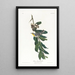 Paruline à gorge jaune - John James Audubon — quadro incorniciato alla parete
