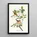 Paruline à poitrine jaune - John James Audubon — quadro incorniciato alla parete