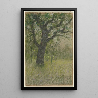 John Kavanagh - Landscape.webp