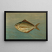 Il pesce-dollaro o pesce-burro, Rhombus triacanthus - John L.. Petrie — quadro incorniciato alla parete