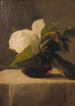 Magnolia - John La Farge — vista dell’opera