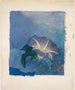Nocturne - John La Farge — vista dell’opera