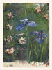 Rose selvatiche e iris - John La Farge — vista dell’opera