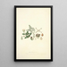 Collectanea botanica Pl04 - John Lindley — quadro incorniciato alla parete