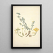 Collectanea botanica Pl10 - John Lindley — quadro incorniciato alla parete