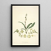 Collectanea botanica Pl20 - John Lindley — quadro incorniciato alla parete