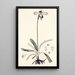 Collectanea botanica Pl32 - John Lindley — quadro incorniciato alla parete
