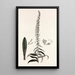 Collectanea botanica Pl35 - John Lindley — quadro incorniciato alla parete