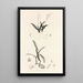 Collectanea botanica Pl39 - John Lindley — quadro incorniciato alla parete