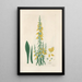 Digitalium monographia Pl10 - John Lindley — quadro incorniciato alla parete