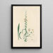 Digitalium monographia Pl16 - John Lindley — quadro incorniciato alla parete