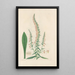 Digitalium monographia Pl20 - John Lindley — quadro incorniciato alla parete