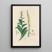 Digitalium monographia Pl21 - John Lindley — quadro incorniciato alla parete
