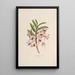 Sertum orchidaceum Une couronne des plus belles fleurs orchidées Pl03 - John Lindley — quadro incorniciato alla parete