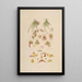 Sertum orchidaceum Une couronne des plus belles fleurs orchidées Pl08 - John Lindley — quadro incorniciato alla parete