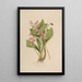 Sertum orchidaceum Una corona delle più belle fiori di orchidee Pl09 - John Lindley — quadro incorniciato alla parete