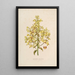 Sertum orchidaceum Una corona delle più belle fiori di orchidee Pl12 - John Lindley — quadro incorniciato alla parete