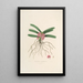 Sertum orchidaceum Une couronne des plus belles fleurs orchidées Pl17 - John Lindley — quadro incorniciato alla parete