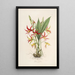 Sertum orchidaceum Une couronne des plus belles fleurs orchidées Pl23 - John Lindley — quadro incorniciato alla parete