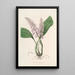 Sertum orchidaceum Une couronne des plus belles fleurs orchidées Pl24 - John Lindley — quadro incorniciato alla parete