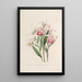 Sertum orchidaceum Une couronne des plus belles fleurs orchidées Pl29 - John Lindley — quadro incorniciato alla parete