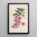 Sertum orchidaceum Une couronne des plus belles fleurs orchidées Pl35 - John Lindley — quadro incorniciato alla parete