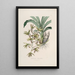 Sertum orchidaceum Una corona delle più belle fiori di orchidee Pl38 - John Lindley — quadro incorniciato alla parete